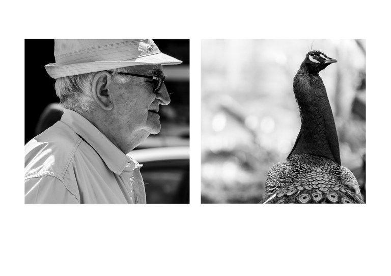 Carmen Martín Gómez